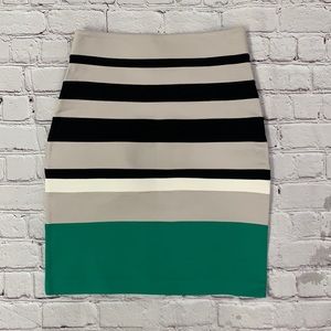 Express Skirt